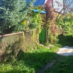Продам сад — Кирово-Чепецк