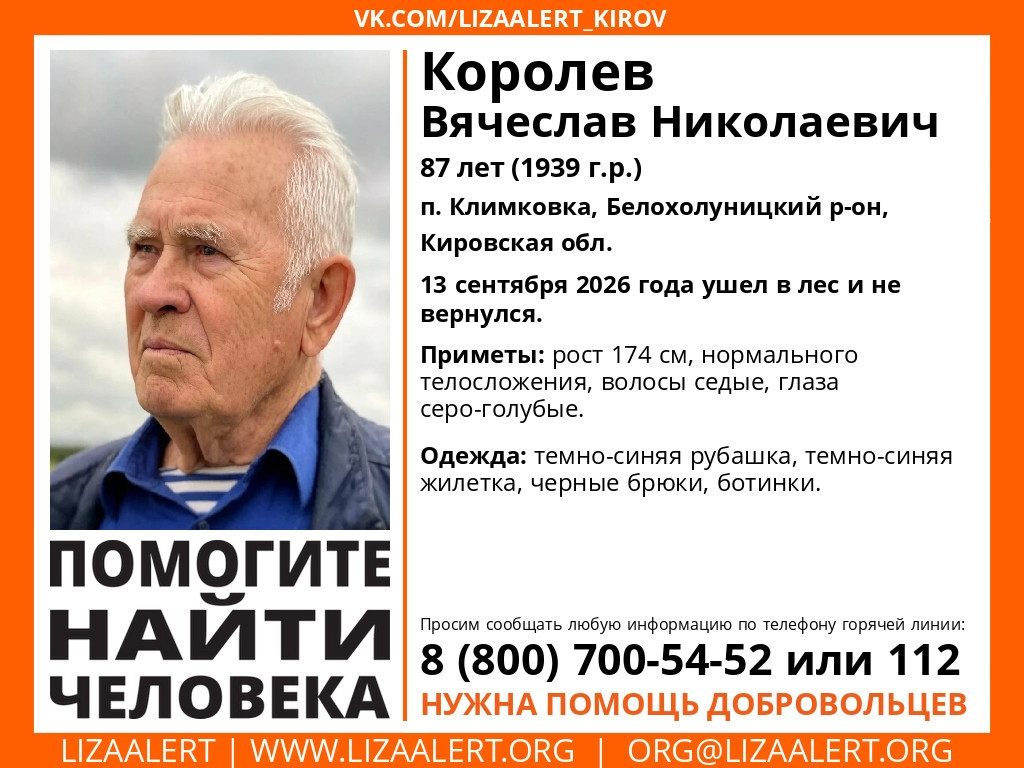 Пропавшего 87-летнего пенсионера ищут в лесах Белохолуницкого района — Кирово-Чепецк