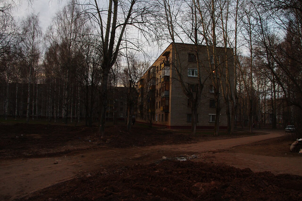 Берёзовый двор вечером