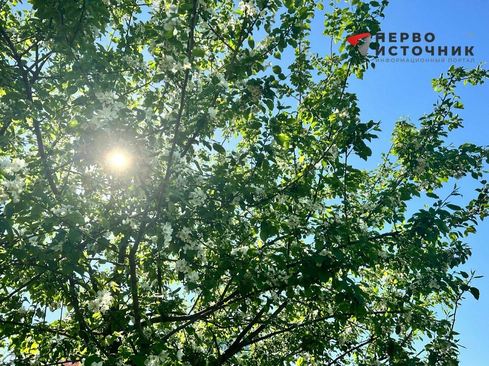 В Кирове 8 сентября ожидаются дождь и до +17°C — Кирово-Чепецк
