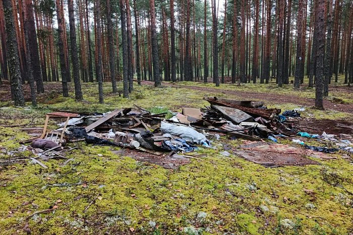 Кировские леса очистили от 25 свалок — Кирово-Чепецк