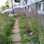 На Школьной,2 дорожка к ул. Ленина (магазин Смарт) вся заросла » бурьяном», везде валяется мусор, в т.ч. в меш… — К…