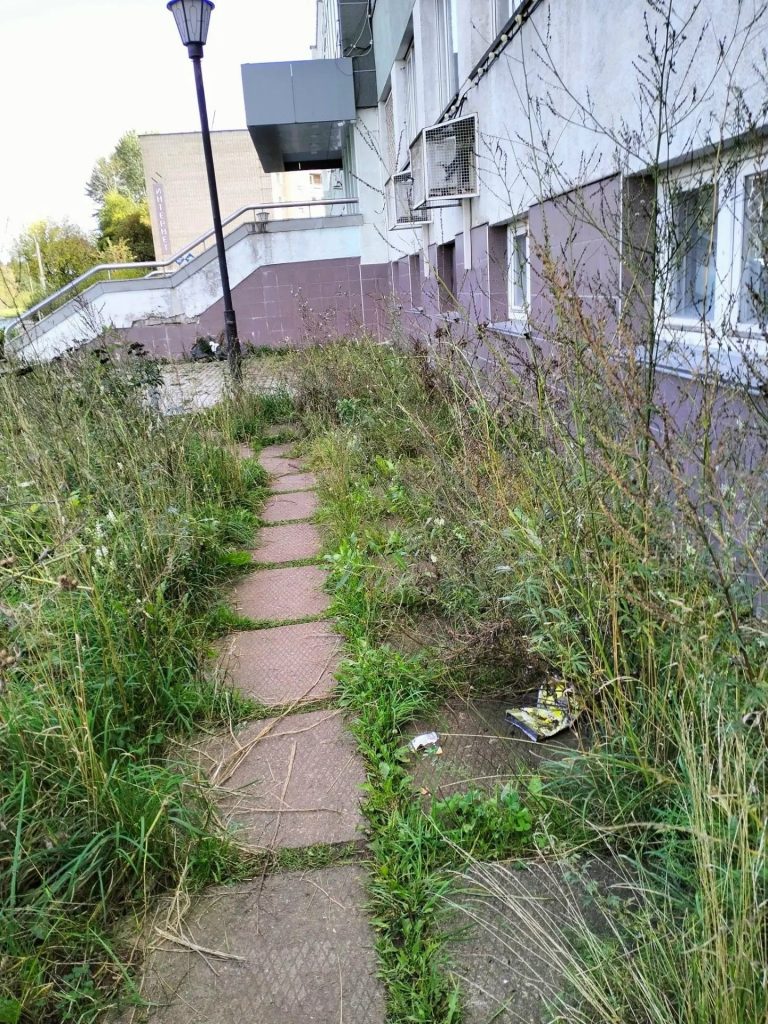 На Школьной,2 дорожка к ул. Ленина (магазин Смарт) вся заросла » бурьяном», везде валяется мусор, в т.ч. в меш… — К…