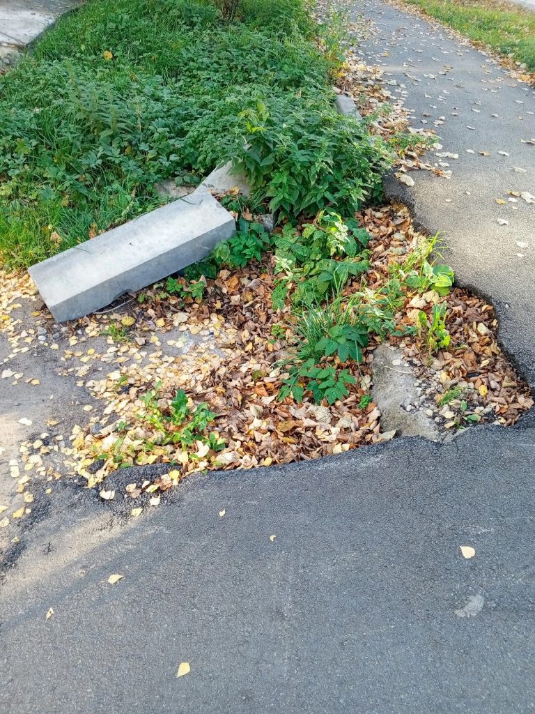Анонимно, спасибо за бардюры и разбитые дворы алминистрация особенно во дворах ул. Ленина — Кирово-Чепецк