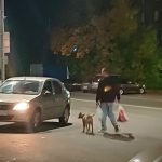 ⚠ Вчера около 23:00 у ТЦ «Русь» питбуль дважды бросился на нашего чихуахуа. Во второй раз он задел зубами мою… — Кирово-Чепец…