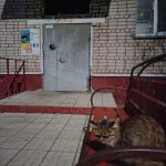 Всем привет — Кирово-Чепецк