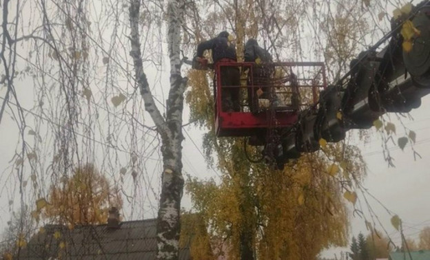 В Порошино и Талице спилили аварийные деревья — Кирово-Чепецк