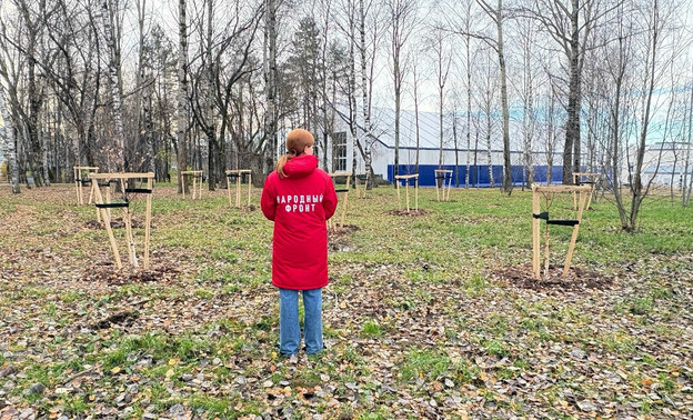 В Кирове проверили благоустройство Парка Победы за 35 млн рублей — Кирово-Чепецк