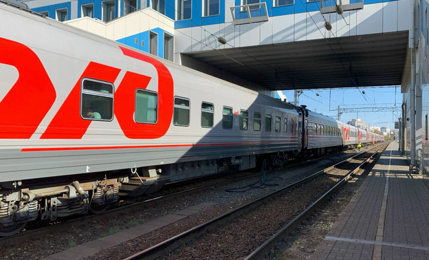 Более 1,6 тыс. питомцев перевезли без хозяев на Горьковской магистрали — Кирово-Чепецк