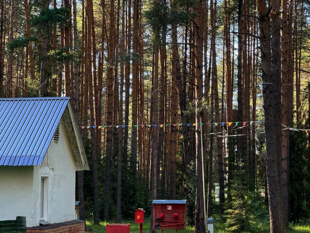 В Кировской области летом отдохнули более 57 тысяч детей — Кирово-Чепецк