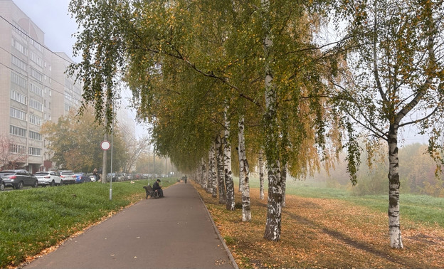 В субботу в Кирове пасмурно и до +7 градусов — Кирово-Чепецк