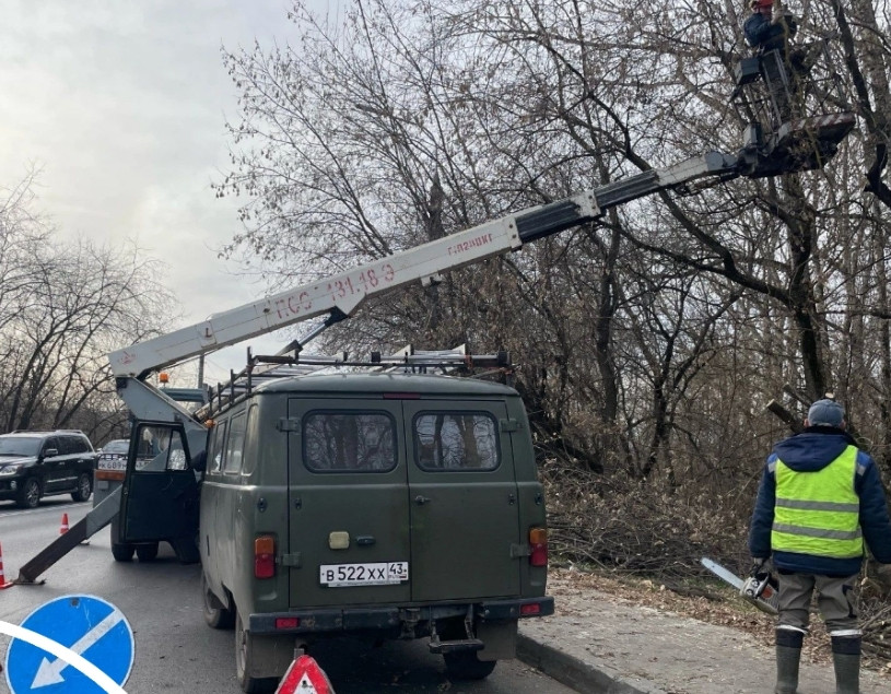 У Старого моста в Кирове начнут «валить» аварийные деревья — Кирово-Чепецк