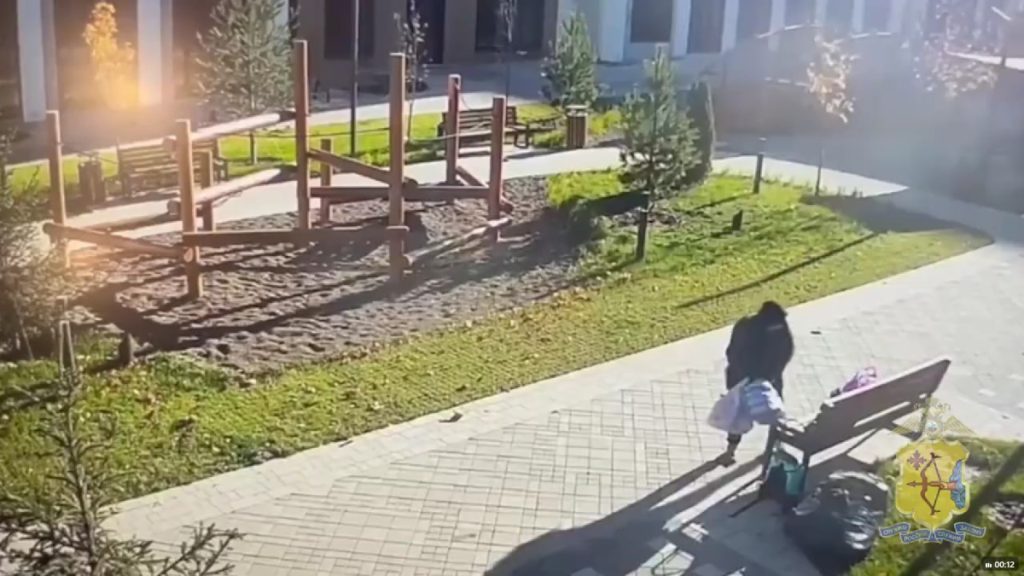 В Кирове задержали мужчину, укравшего инструмент для ландшафтного дизайна — Кирово-Чепецк