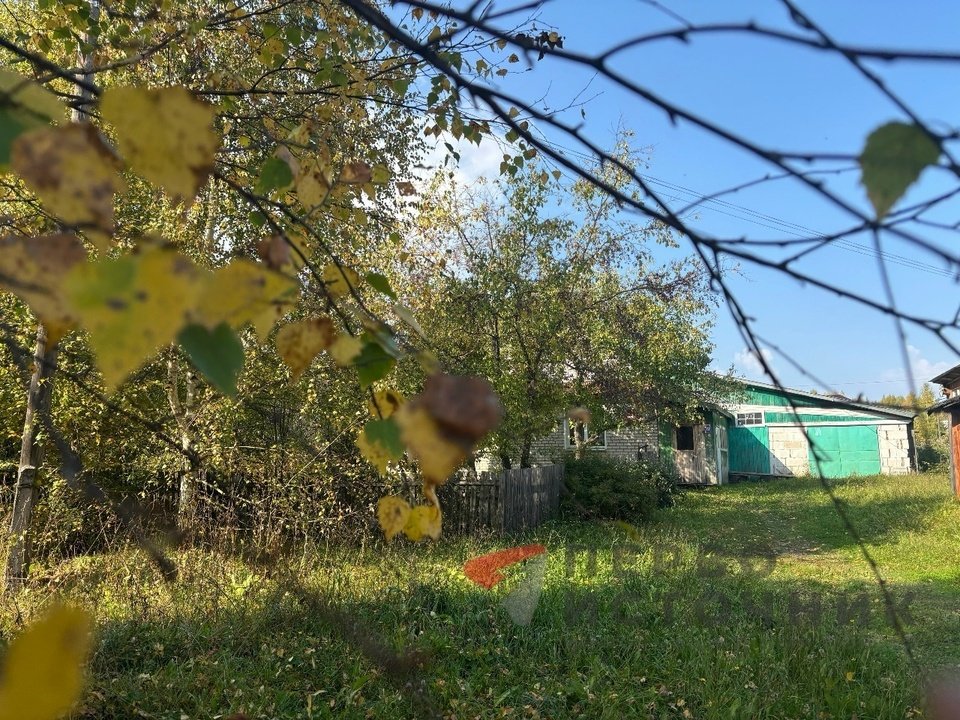 Ночью — заморозки, днём — до +12 — Кирово-Чепецк
