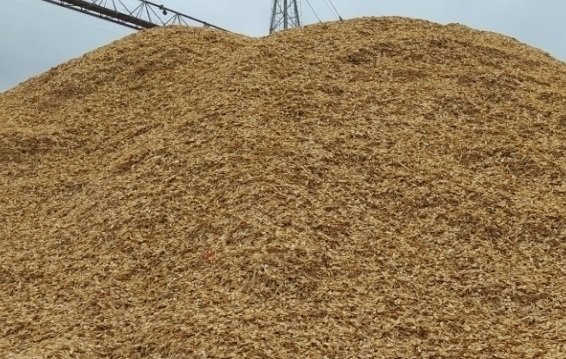 С начала года из Кировской области вывезено более 12 тысяч кубометров щепы — Кирово-Чепецк
