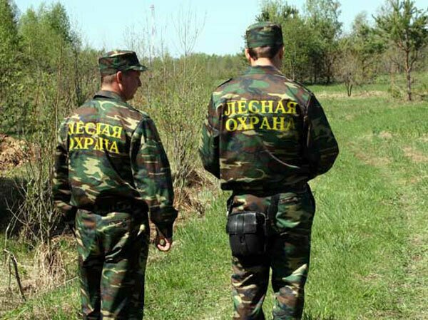 Лесничие Кировской области провели почти 19 тысяч патрулирований — Кирово-Чепецк
