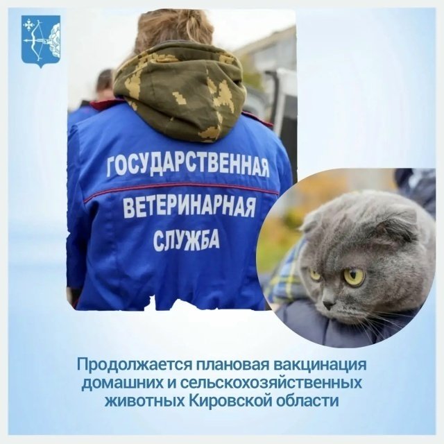 В Кировской области продолжается бесплатная вакцинация животных от бешенства — Кирово-Чепецк
