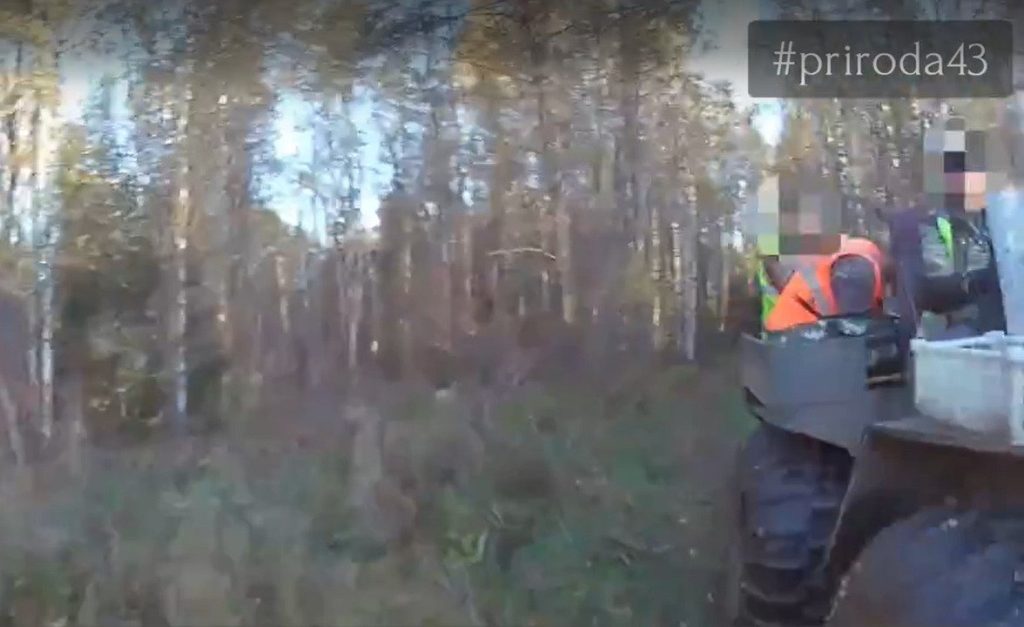 Два охотника попались на перевозке расчехлённого оружия в Юрьянском районе — Кирово-Чепецк