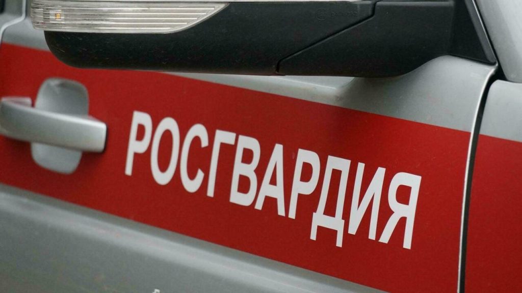 В Кирове при попытке кражи алкоголя задержан должник по алиментам — Кирово-Чепецк