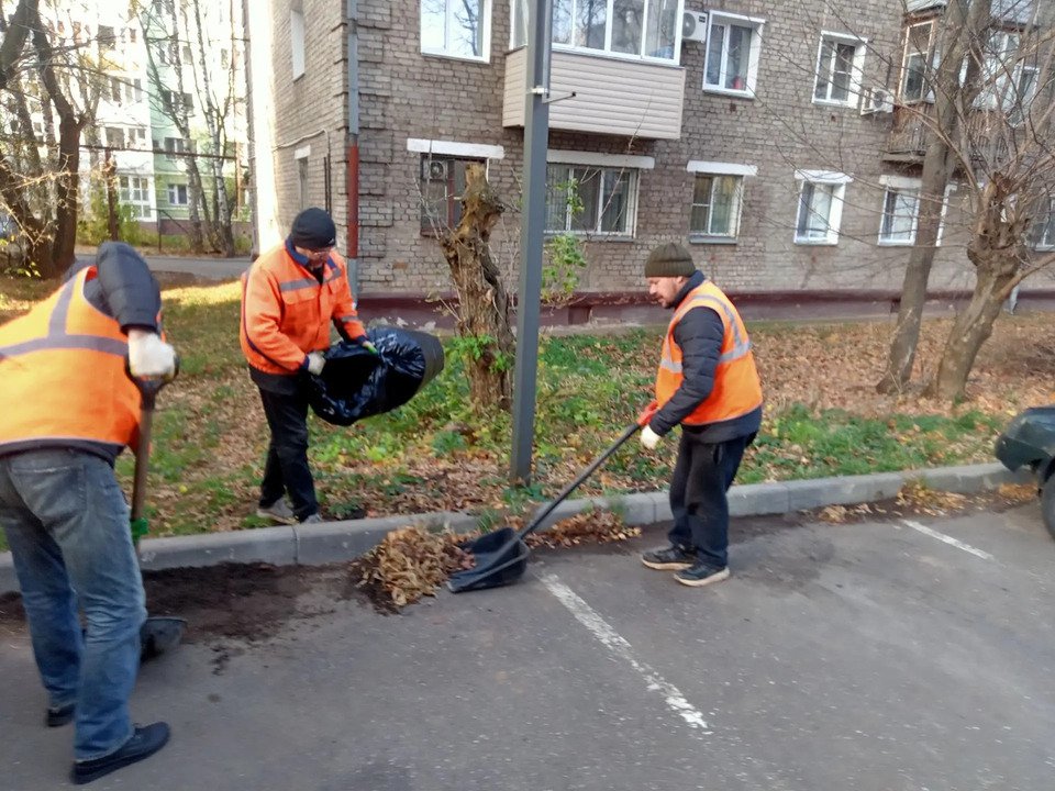 В Кирове дорожники ежедневно вывозят более 20 кубометров листьев — Кирово-Чепецк