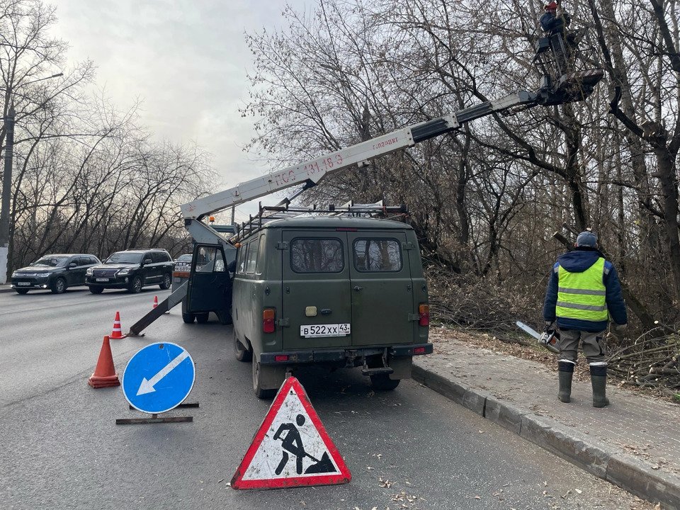 На Слободском тракте ограничат движение по правой полосе из-за уборки аварийных деревьев — Кирово-Чепецк