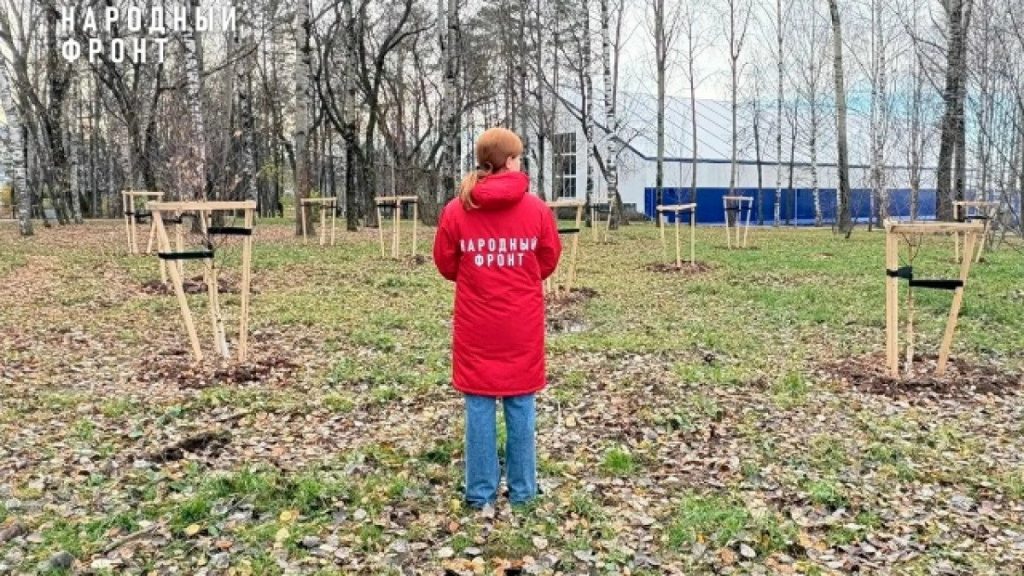 В Парке Победы после ремонта за 35 млн рублей остались пни и неясности с саженцами — Кирово-Чепецк