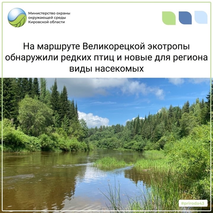 На маршруте Великорецкой экотропы учёные обнаружили новые для региона виды насекомых — Кирово-Чепецк