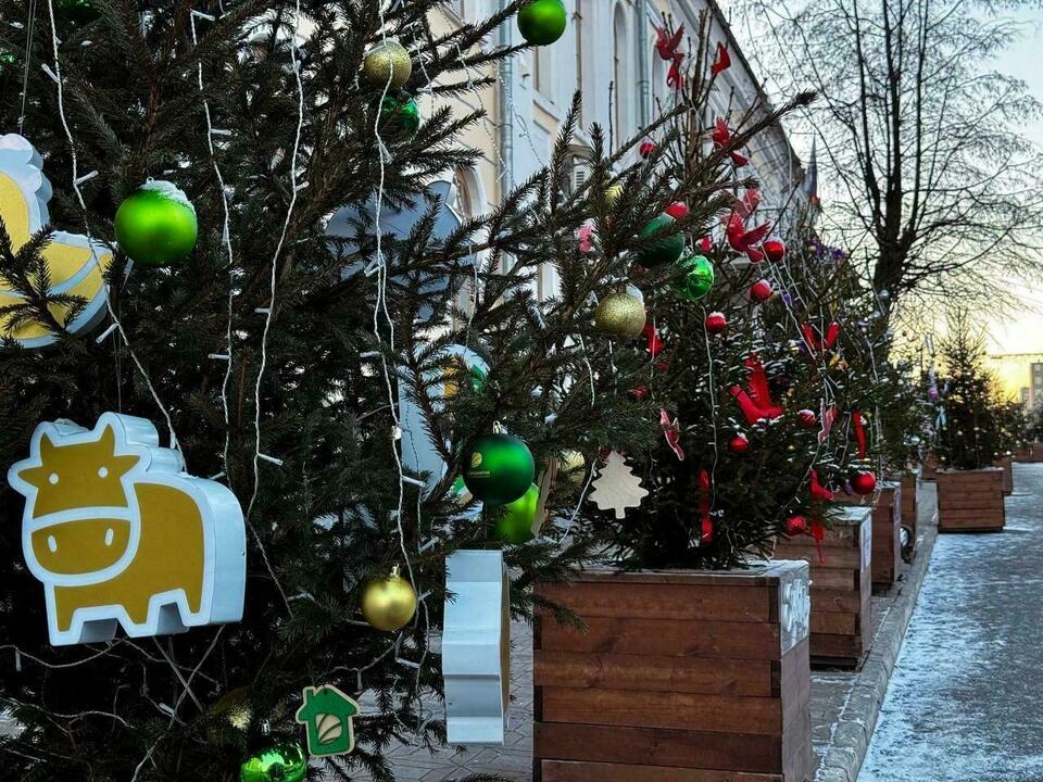 На Спасской в Кирове поставят 90 новогодних арт-елей — Кирово-Чепецк