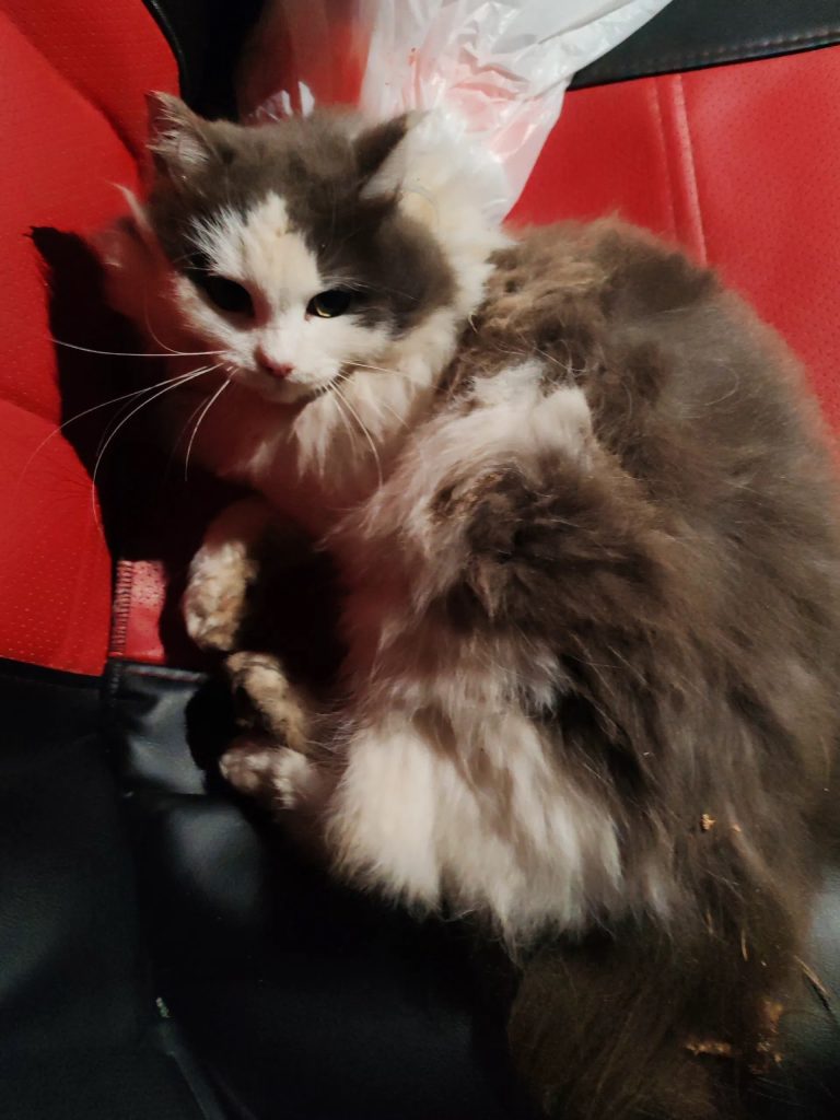 Помогаю информационно. — Кирово-Чепецк
