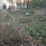 Историческая часть города … — Кирово-Чепецк