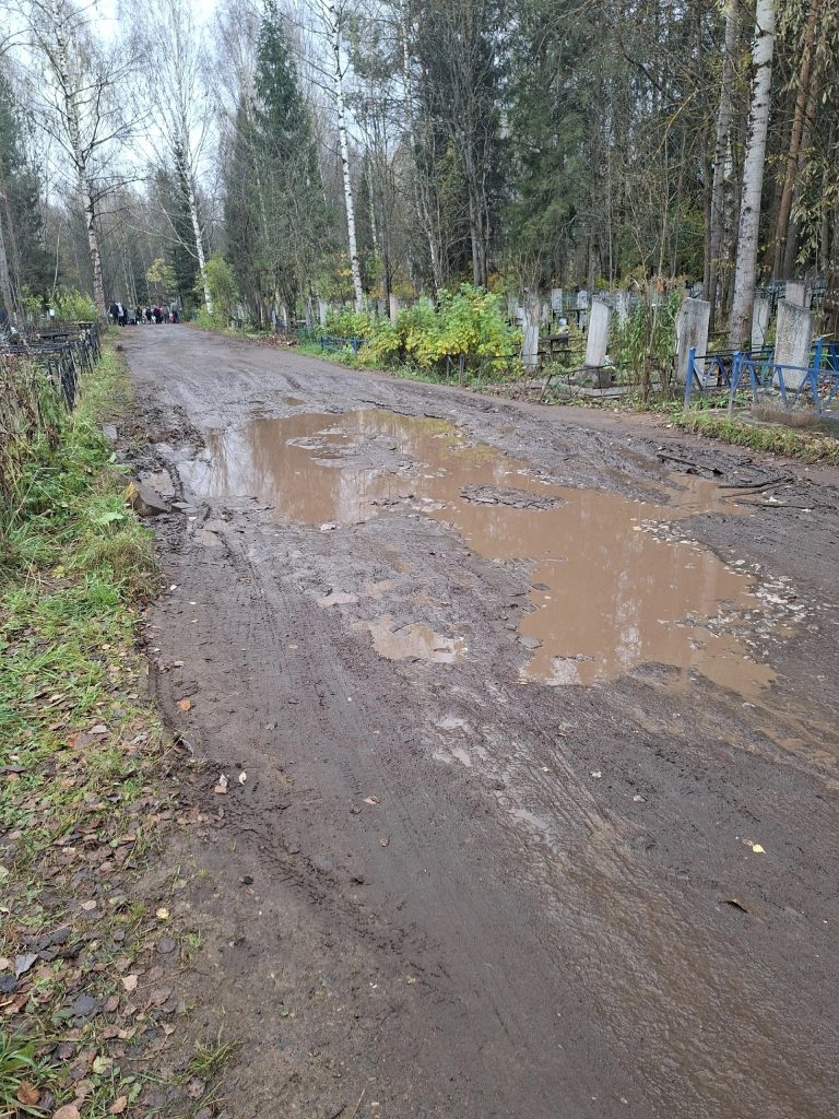 Яма на Злобинском кладбище, ей столько же лет, сколько и мне, 35, не меньше.🙈 Ни разу ее не заделывали! А это… — Кирово-Чепец…