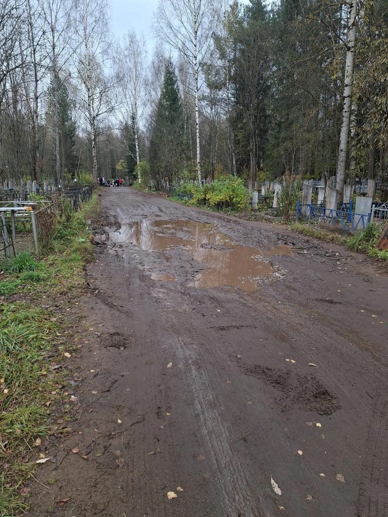 Яма на Злобинском кладбище, ей столько же лет, сколько и мне, 35, не меньше.🙈 Ни разу ее не заделывали! А это… — Кирово-Чепец…