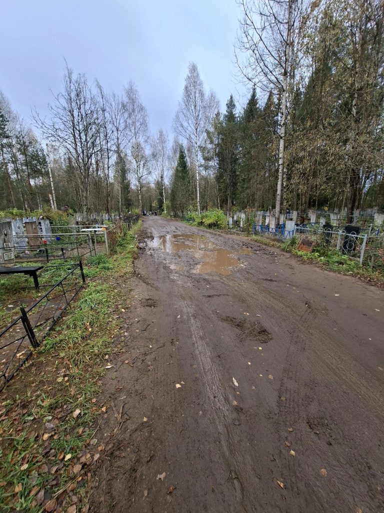 Яма на Злобинском кладбище, ей столько же лет, сколько и мне, 35, не меньше.🙈 Ни разу ее не заделывали! А это… — Кирово-Чепец…
