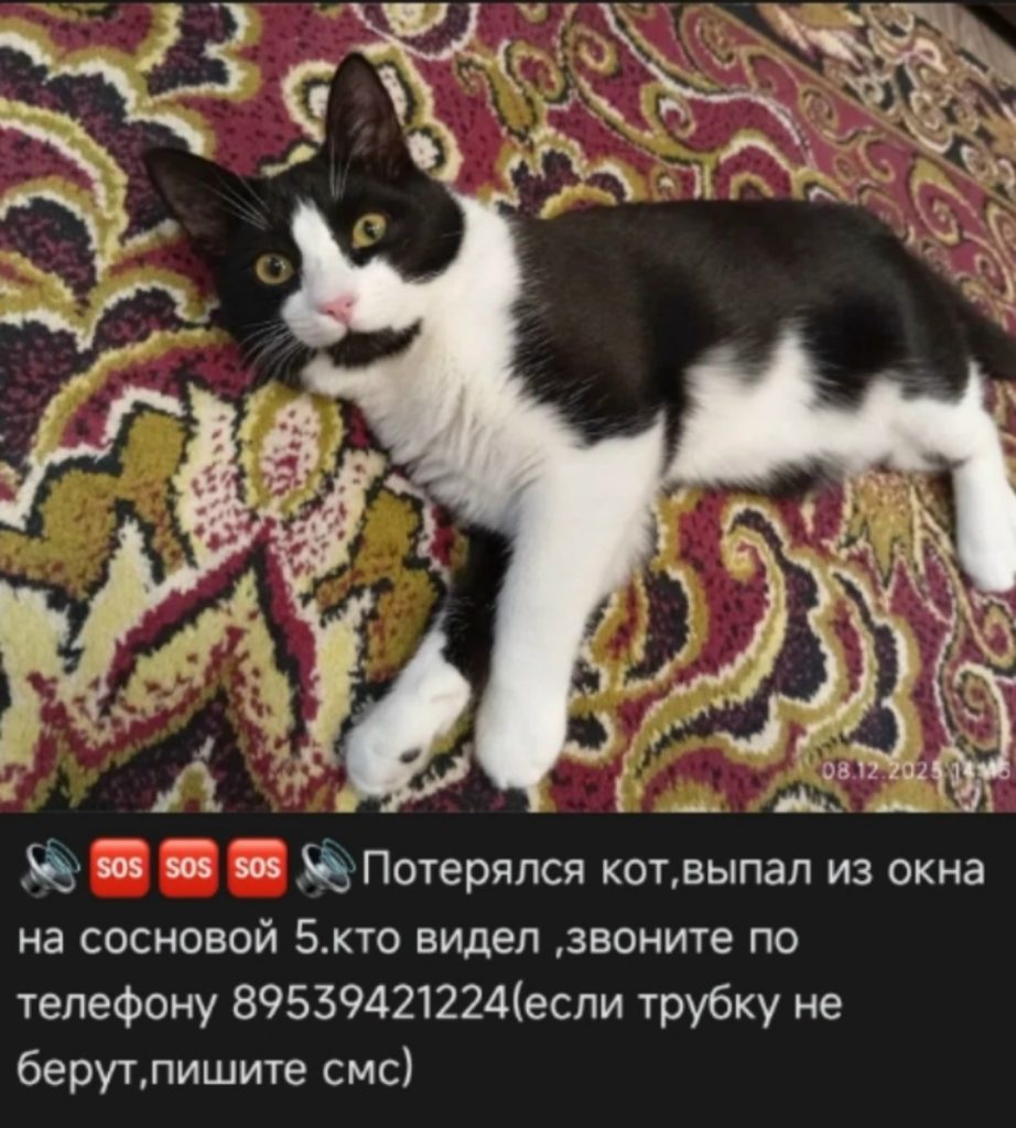 Публикация VK #125074 — Кирово-Чепецк