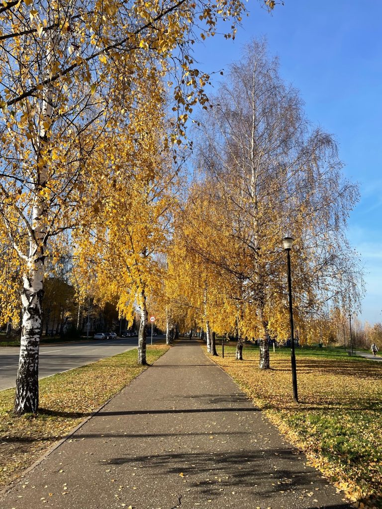 🍂 Золотая осень радует нас тёплой погодой! 🍁 — Кирово-Чепецк